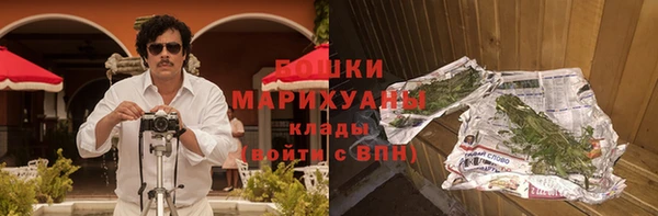 СК Вязьма