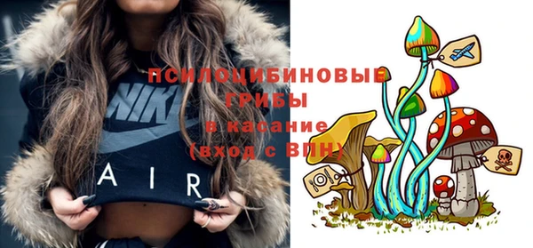 герыч Вяземский