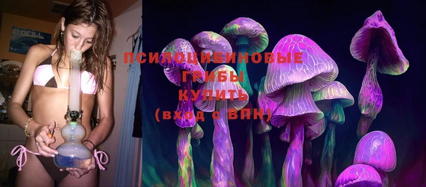 СК Вязьма