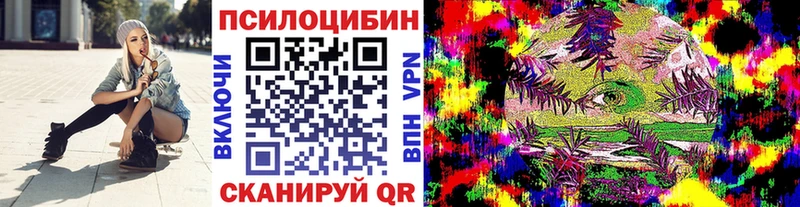 Галлюциногенные грибы Psilocybine cubensis  продажа наркотиков  Железноводск 